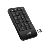 Teclado Genius NumPad 1000