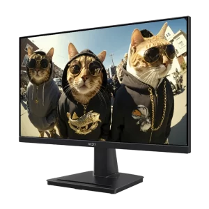MSI Pro MP225 22"