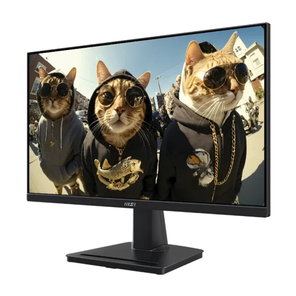MSI Pro MP225 22"