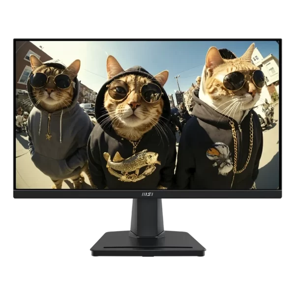 MSI Pro MP225 22"