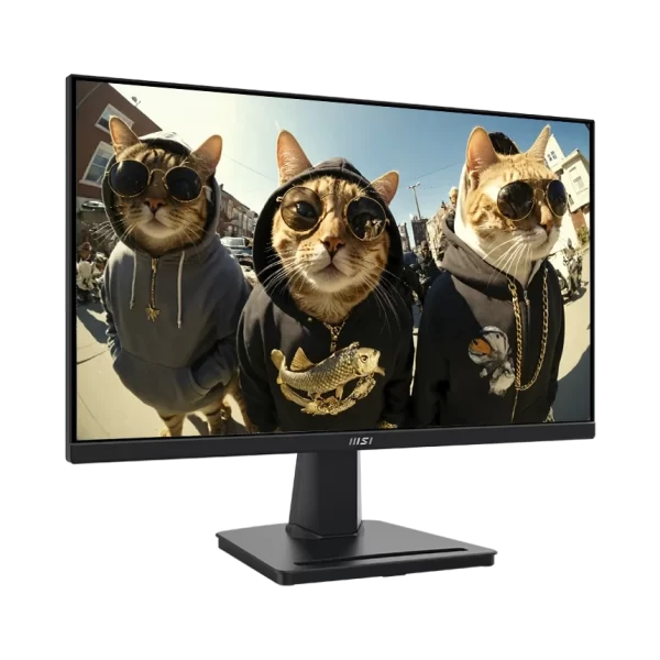 MSI Pro MP225 22"