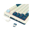 Teclado Mecánico Redragon Eisa Pro